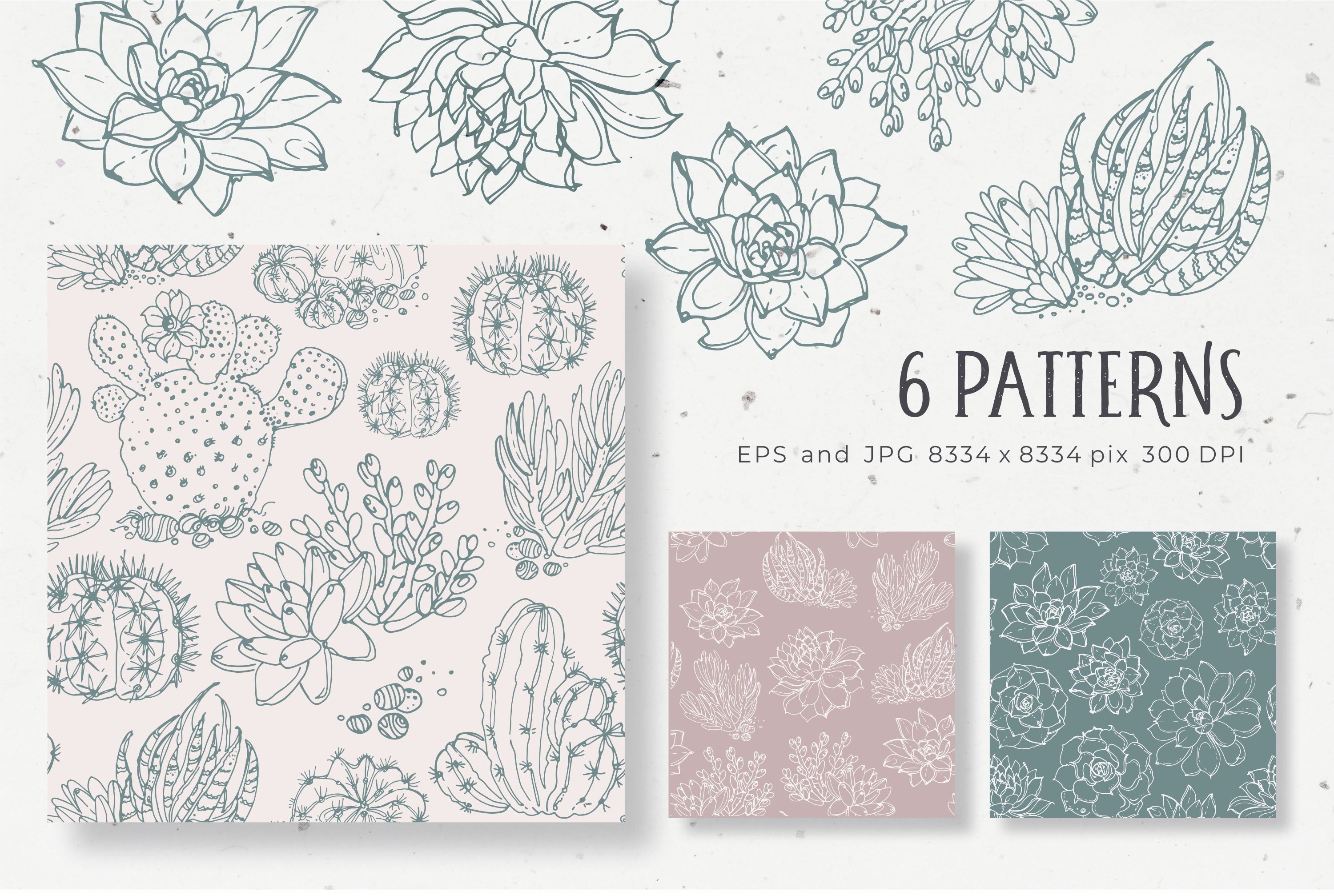 Set of six cactus and succulent patterns.