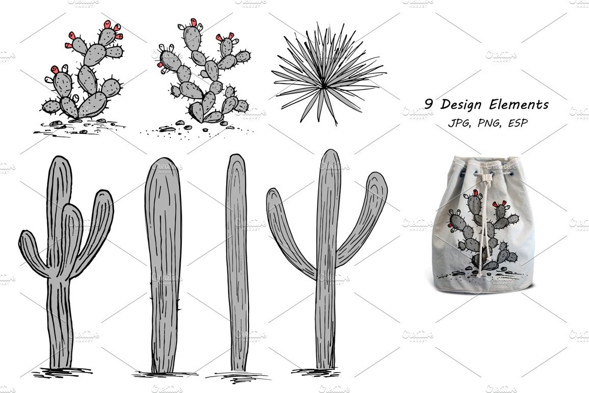Drawing of a cactus and other plants.