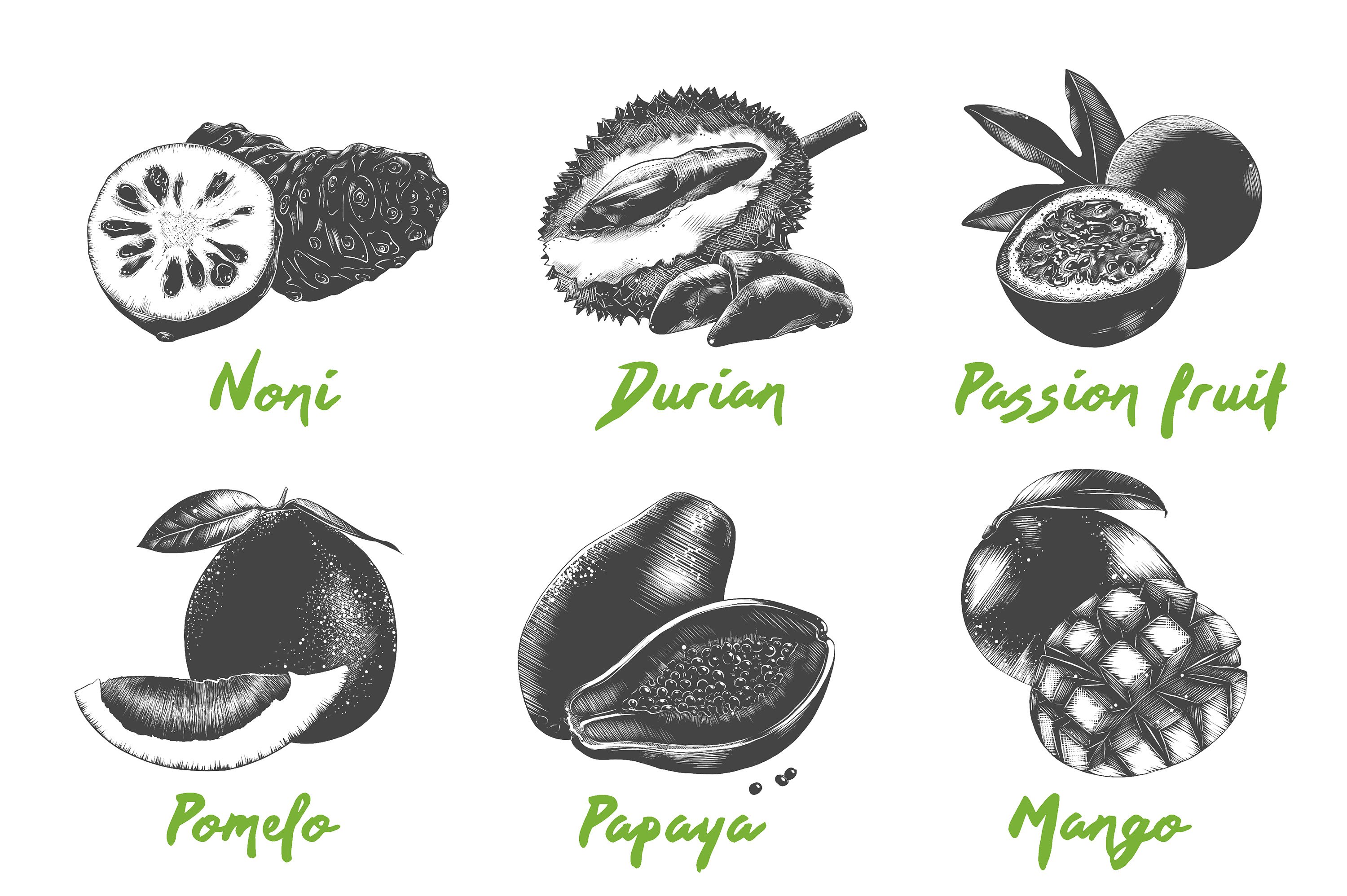 Black and white drawing of different types of fruit.