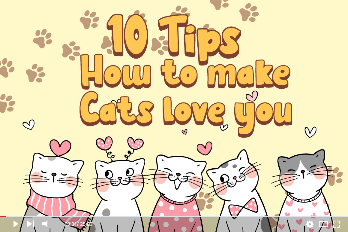 5 cat lover information youtube thumbnail 830