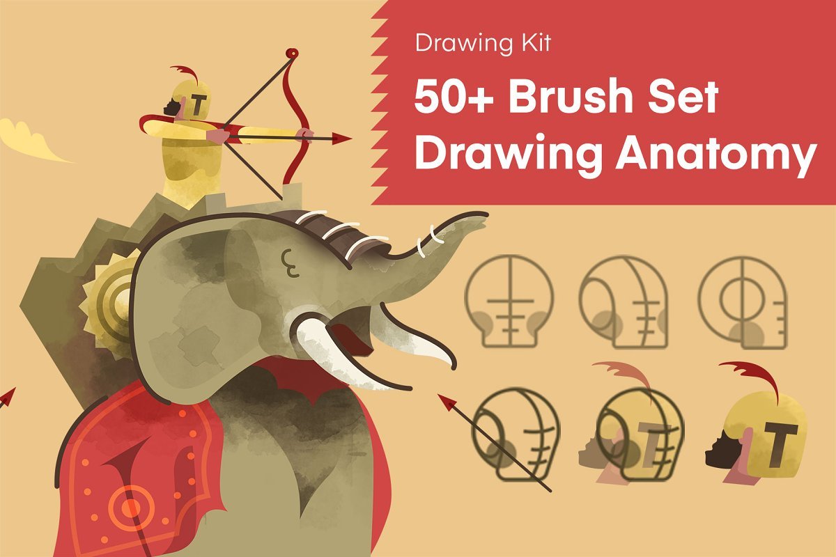 50+ Brush Set Drawing Anatomycover image.