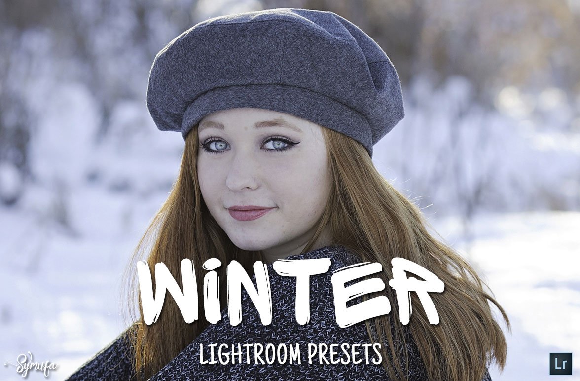 50 Winter Lightroom Presetscover image.