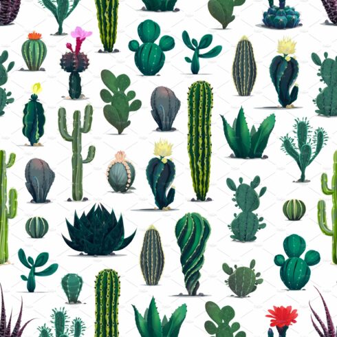 Large collection of cactus plants on a white background.