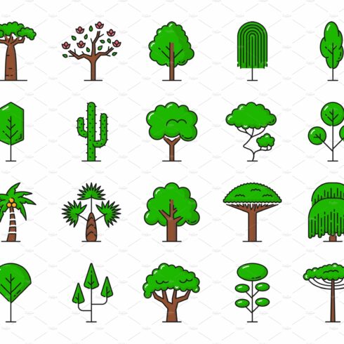 Collection of trees and shrubs.