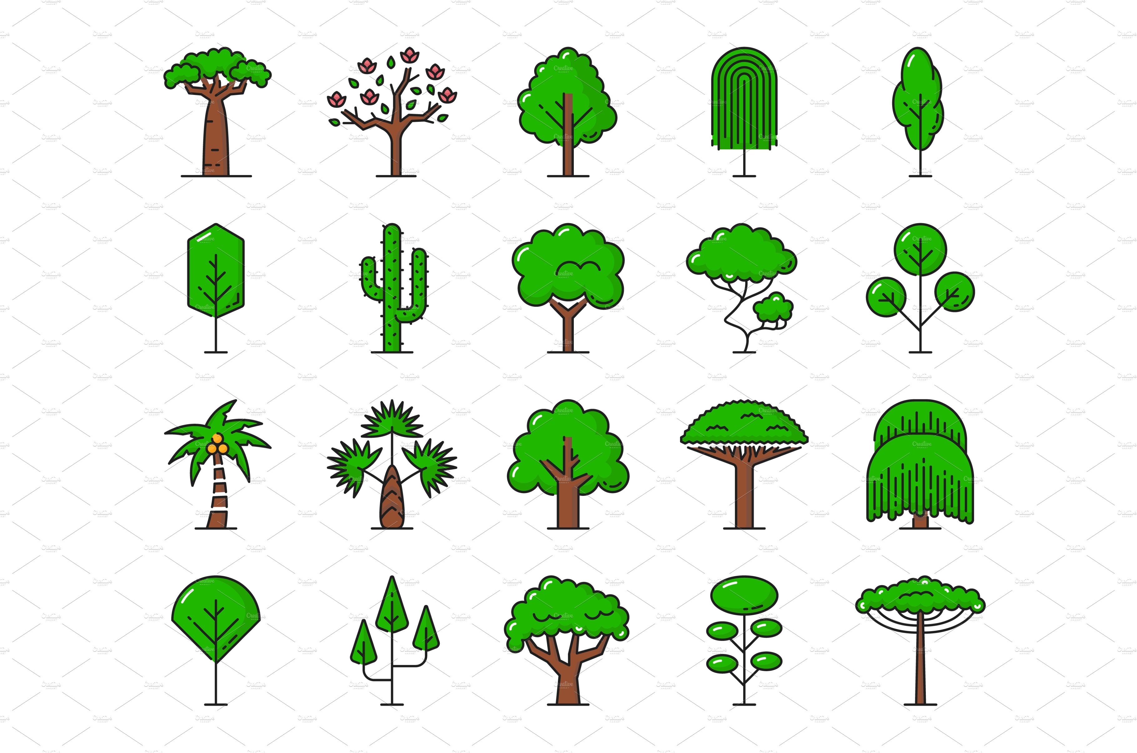 Collection of trees and shrubs.