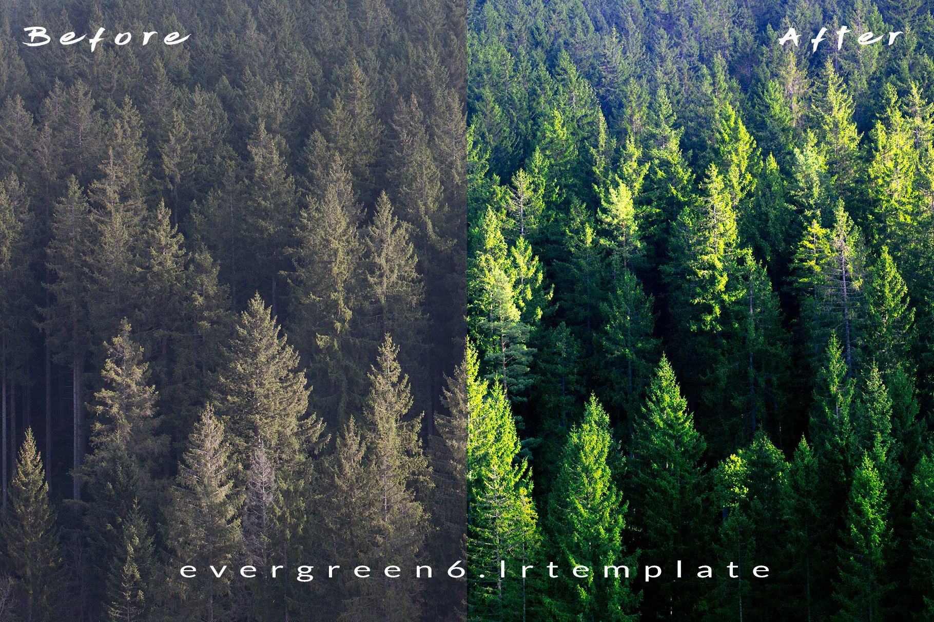 Ever Green 10 Lightroom Presets.preview image.