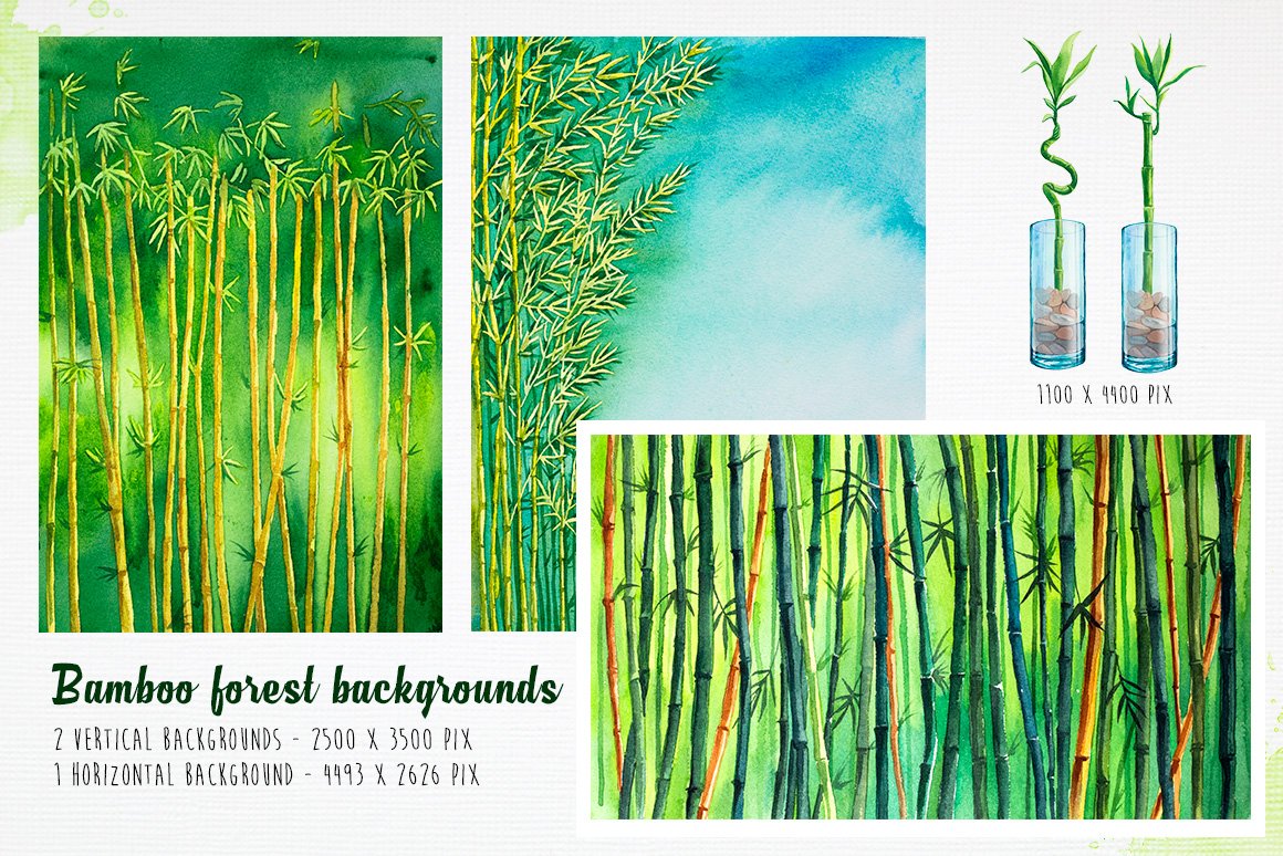 Picture of bamboo forest backgrounds.