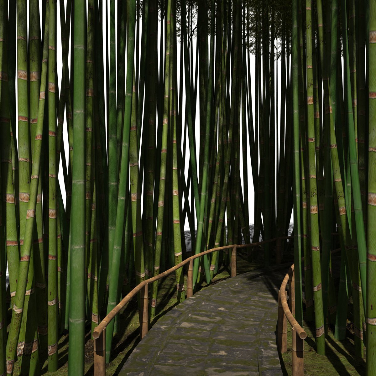 Walkway between two tall bamboo trees.