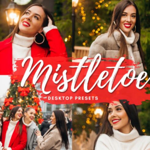 MISTLETOE Desktop Lightroom Presetscover image.