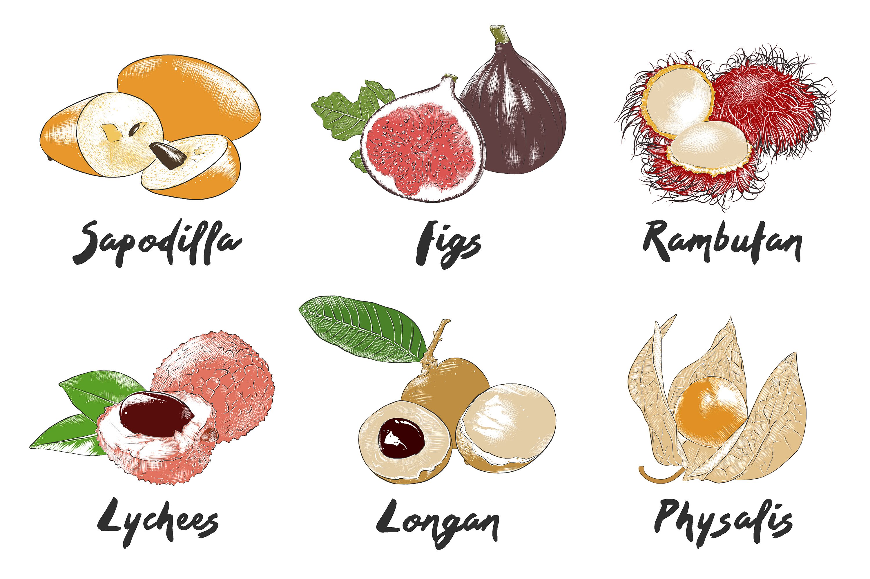 A bunch of different types of fruits on a white background.