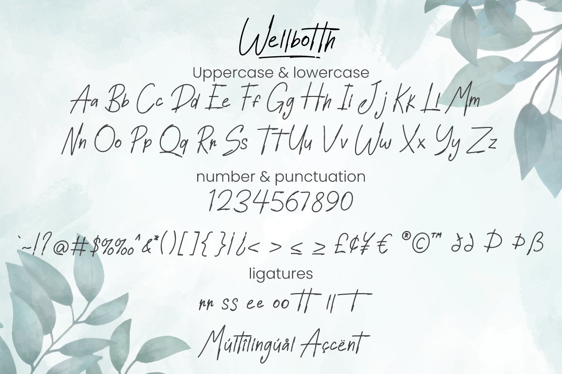 6 wellbotth handwritten font character 896
