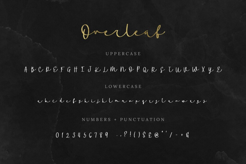 Overleaf Script Font – MasterBundles