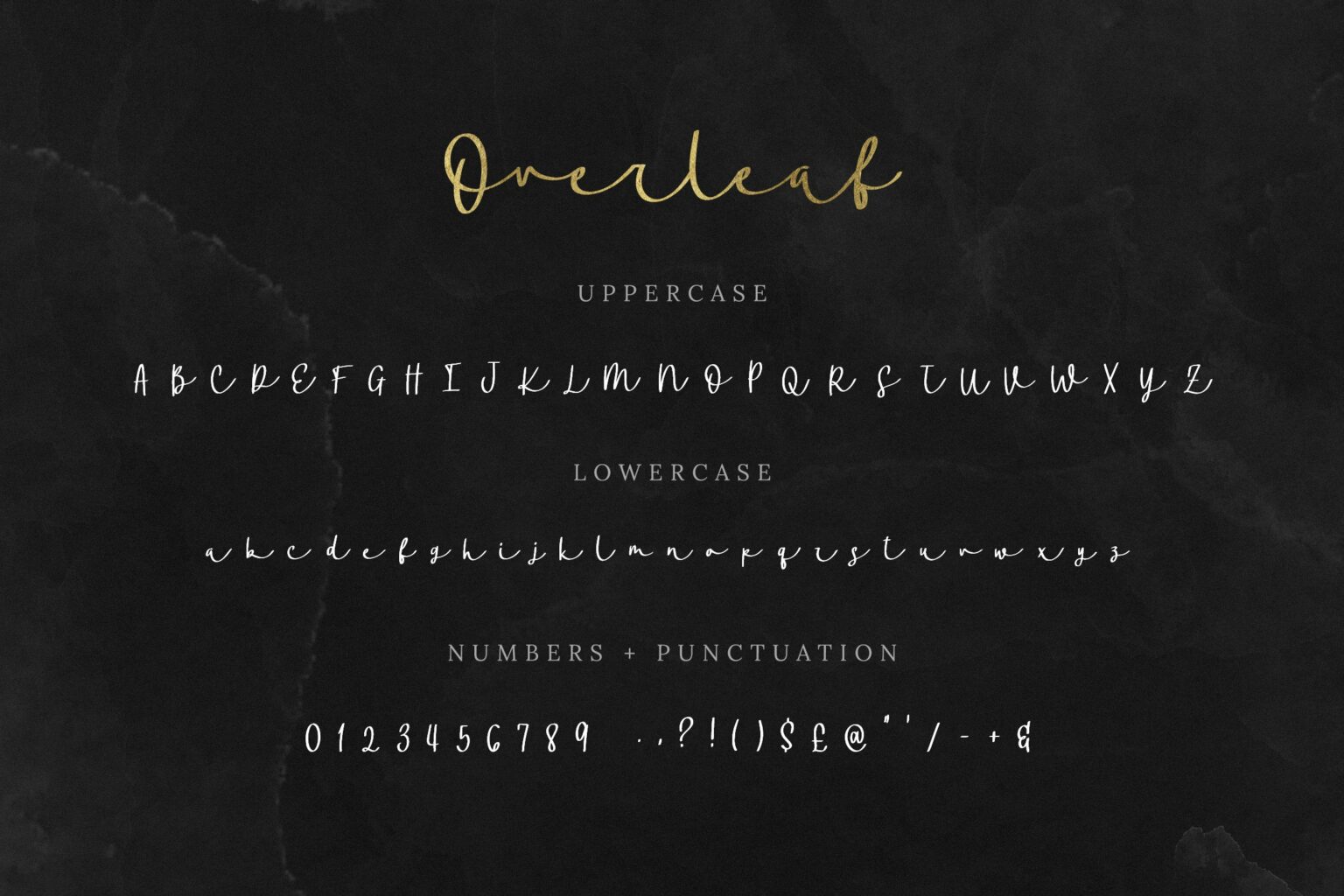 Overleaf Script Font MasterBundles