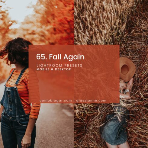 65. Fall Againcover image.