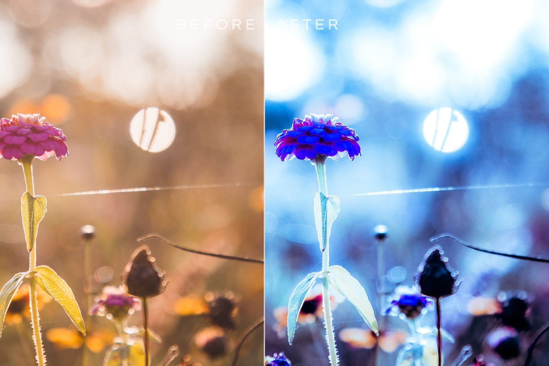 Autumn Lightroom Presets Bundle V2preview image.