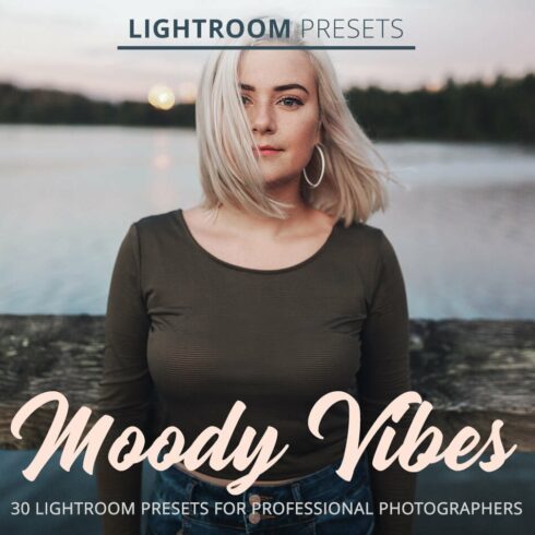 Moody Vibes Presetscover image.