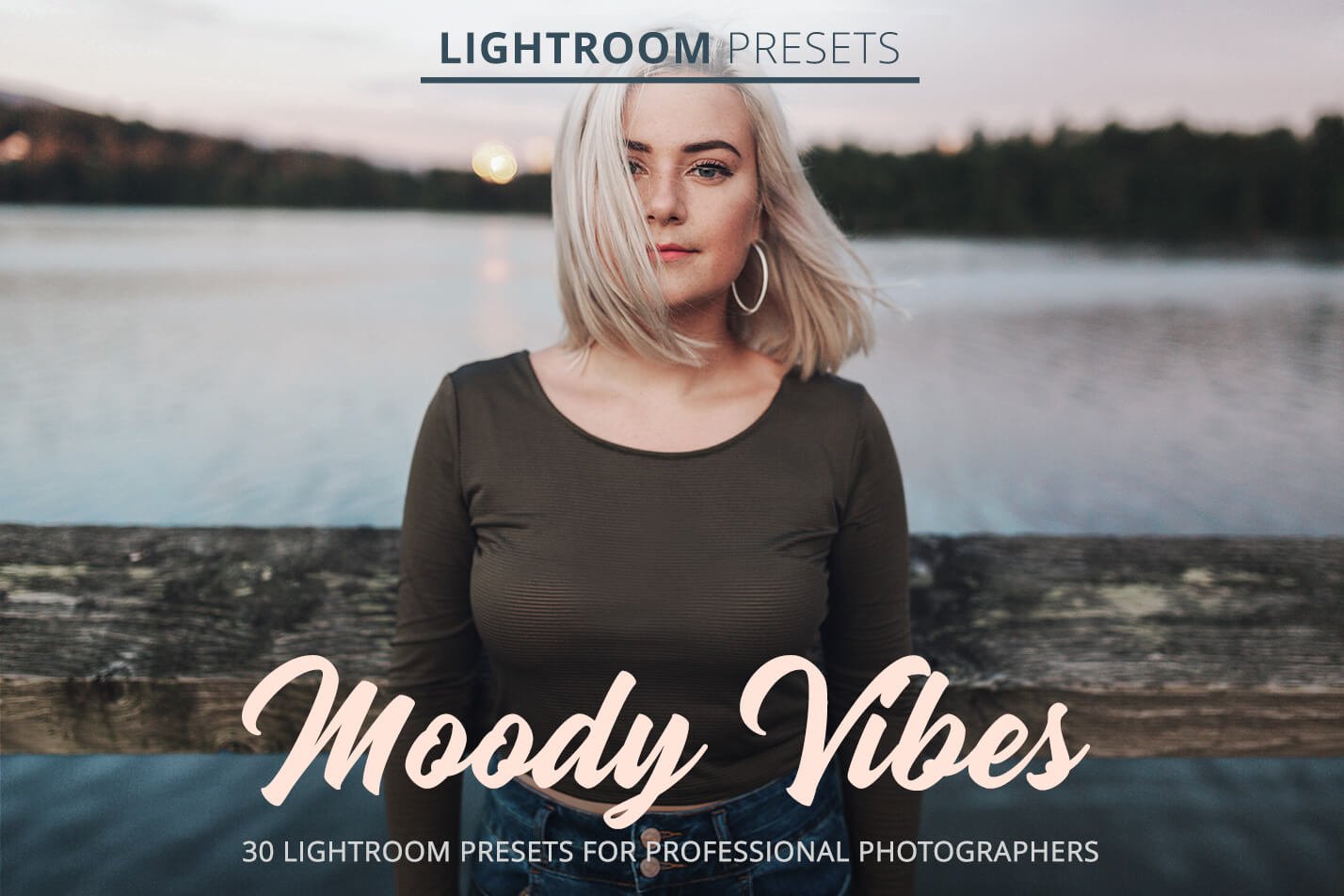 Moody Vibes Presetscover image.