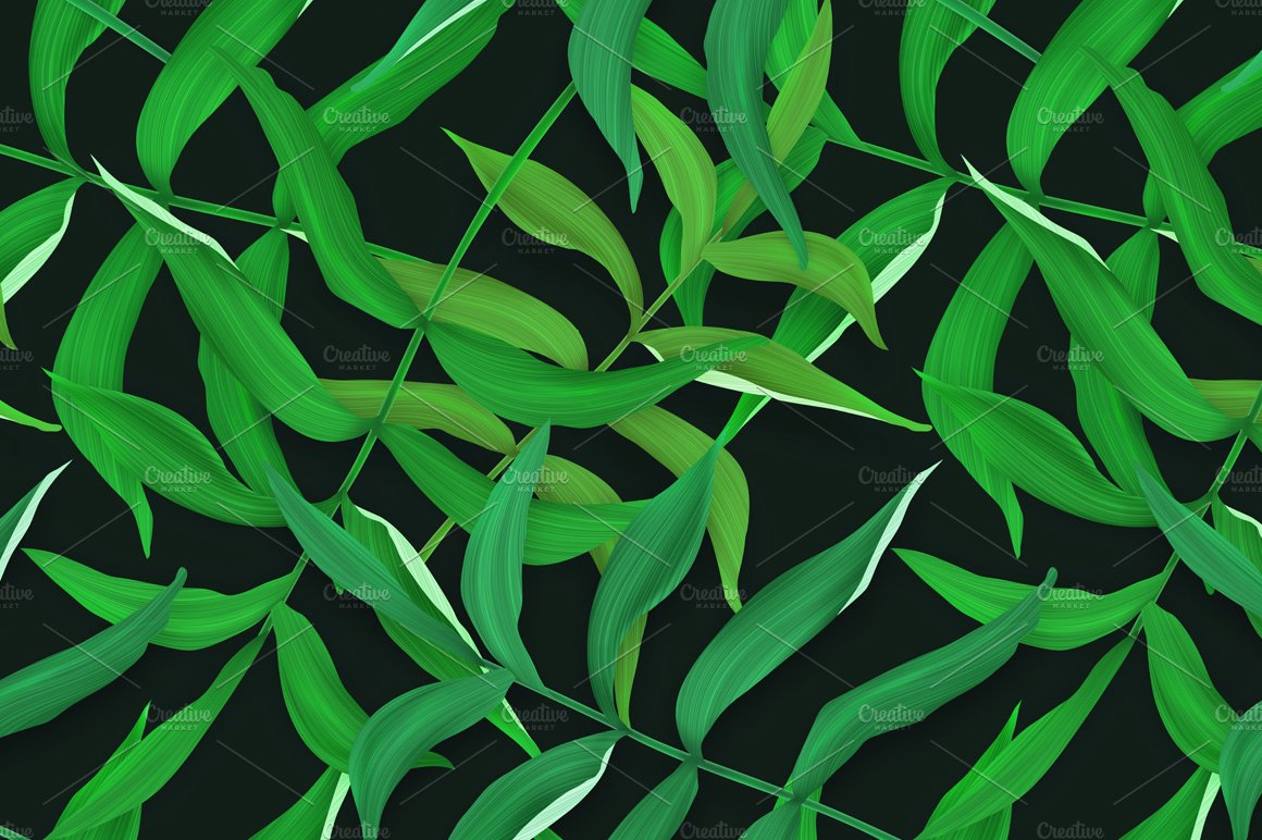 Bunch of green leaves on a black background.