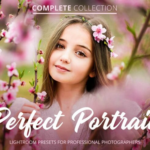 Perfect Portrait Collectioncover image.