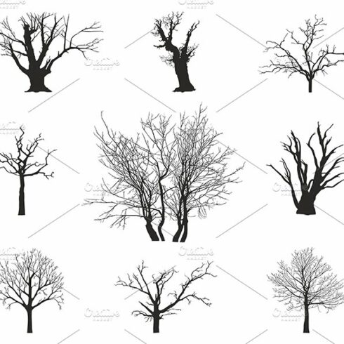 trees silhouettes cover image.