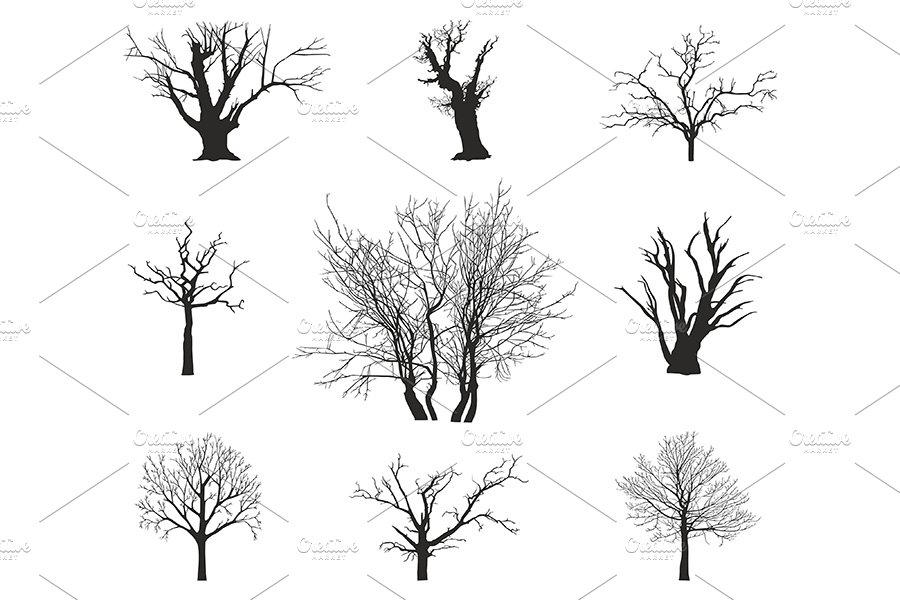 trees silhouettes cover image.