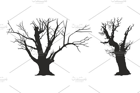 trees silhouettes preview image.