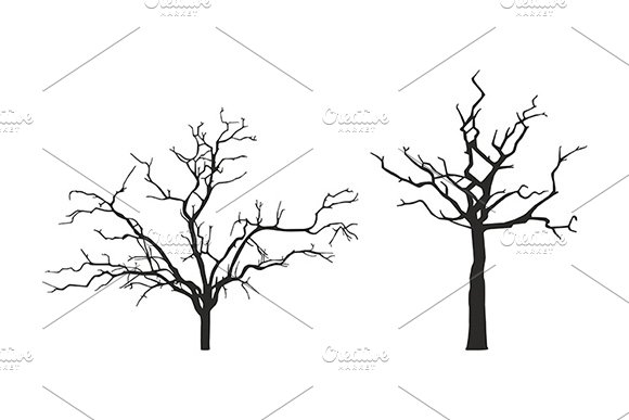 Three trees without leaves on a white background.