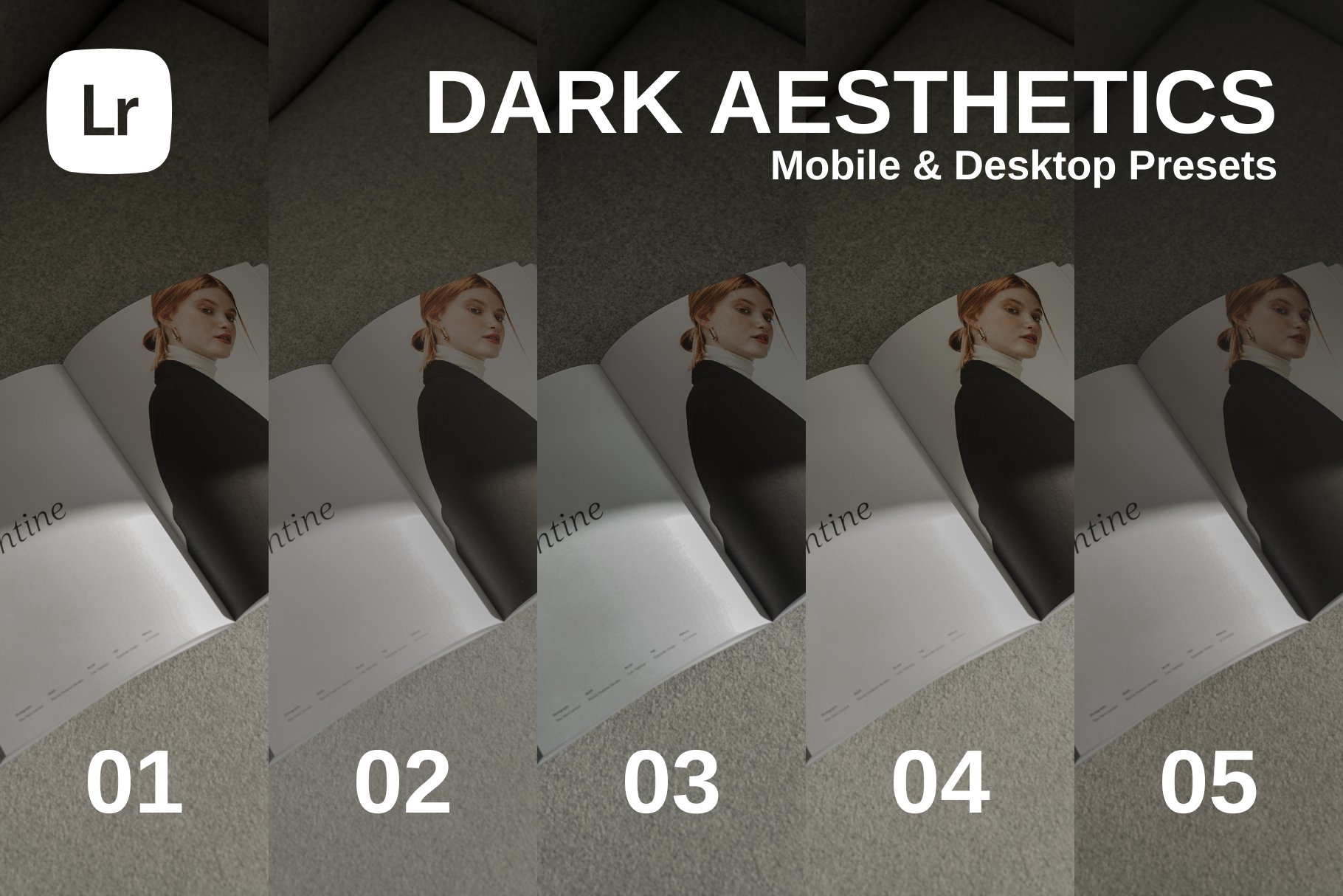 Dark Aesthetics Lightroom Presetspreview image.