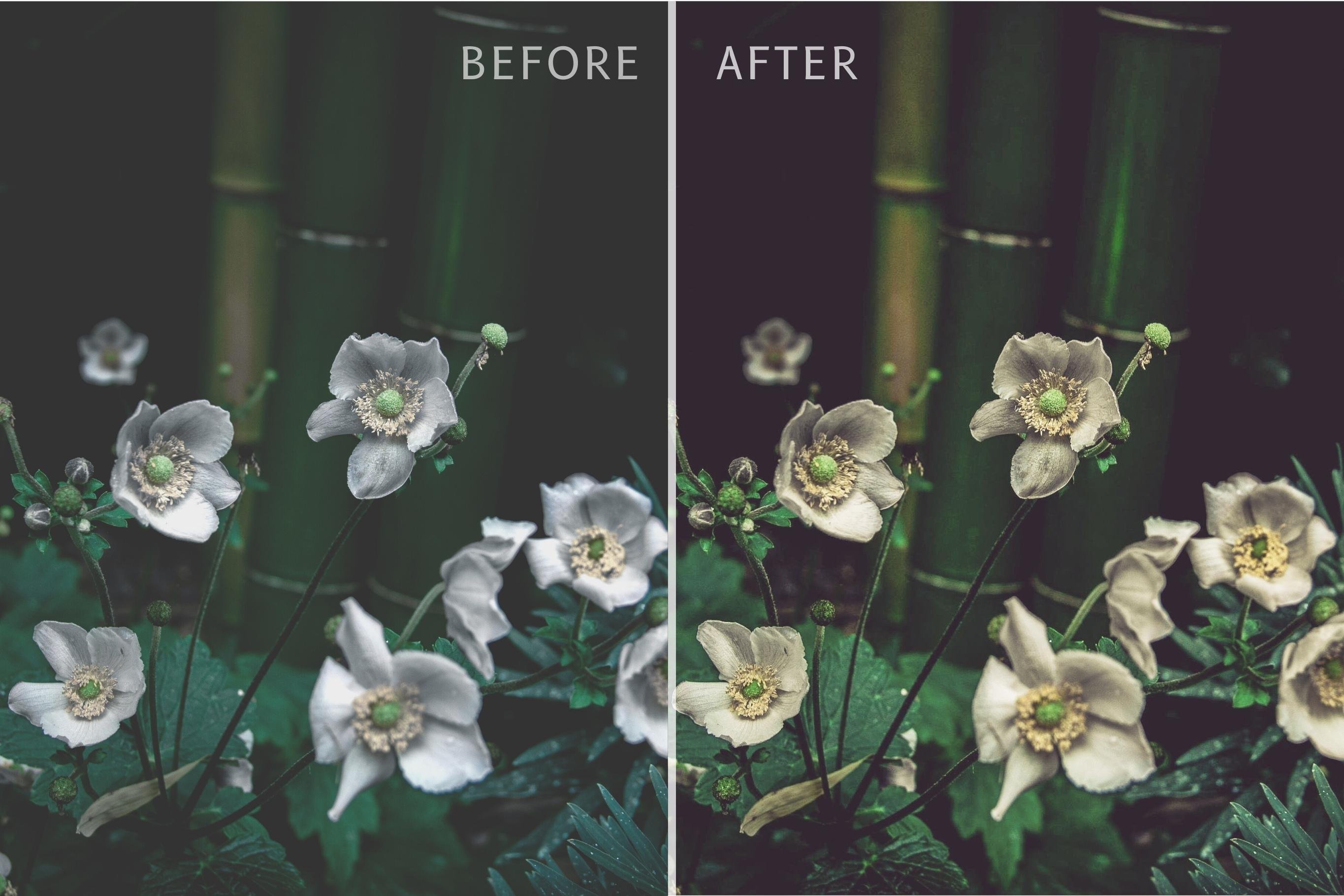 20 Moody Lightroom Presets Packpreview image.