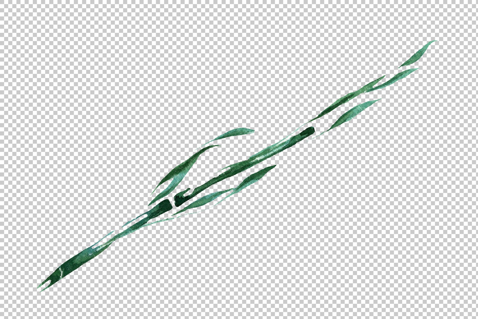 Exotic bamboo PNG watercolor set preview image.