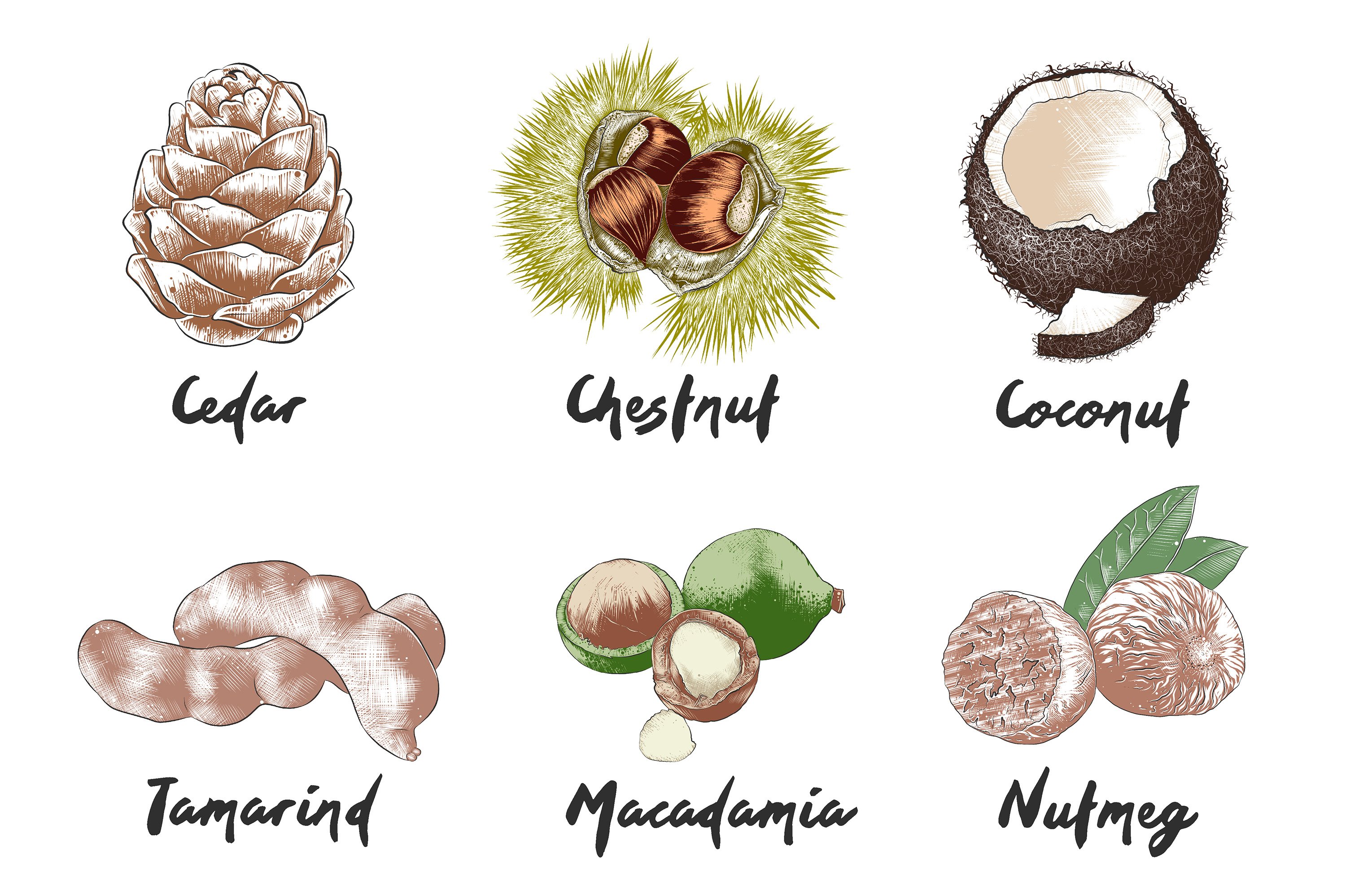 A bunch of different types of nuts.