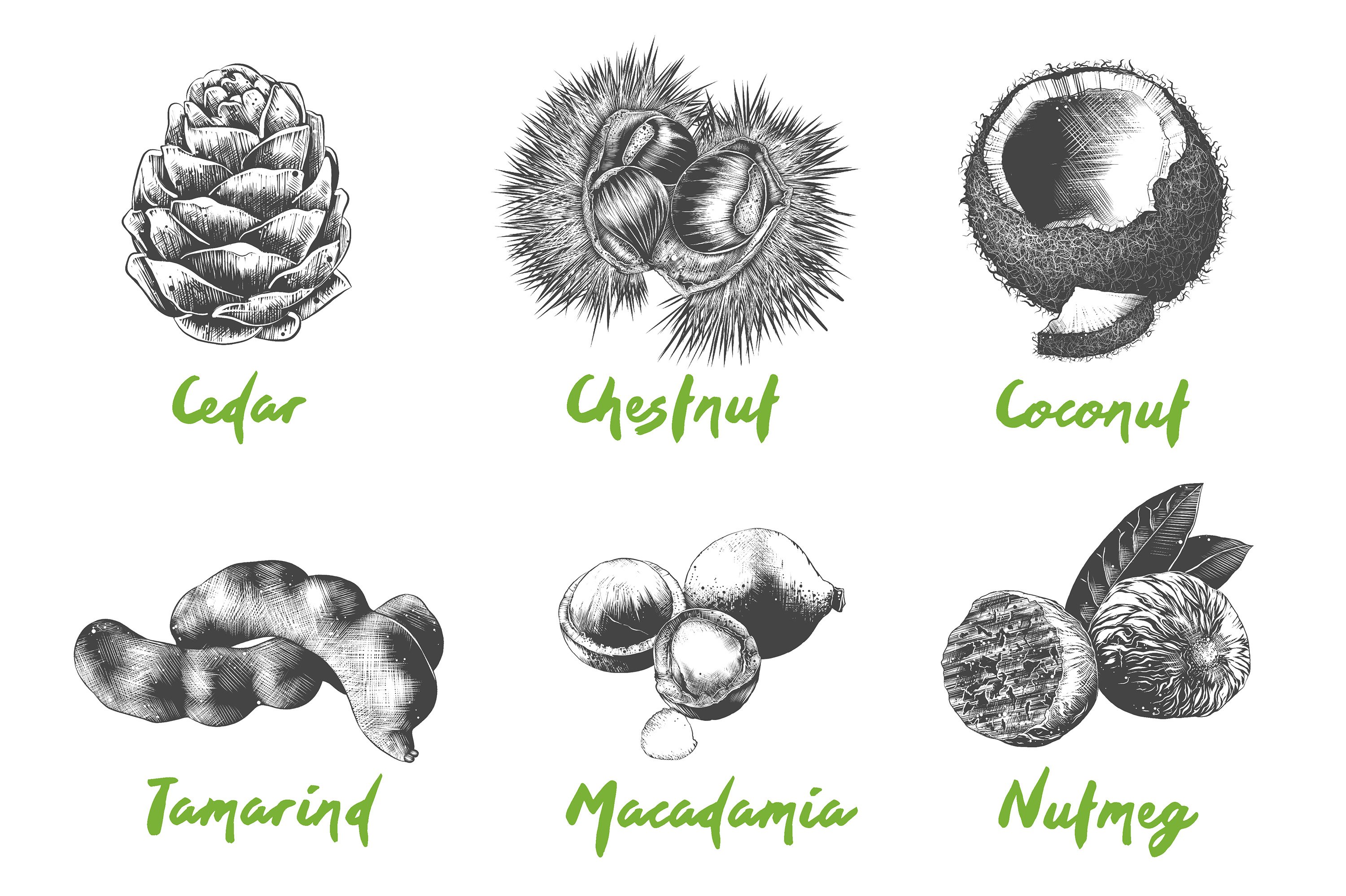 Bunch of different types of nuts on a white background.