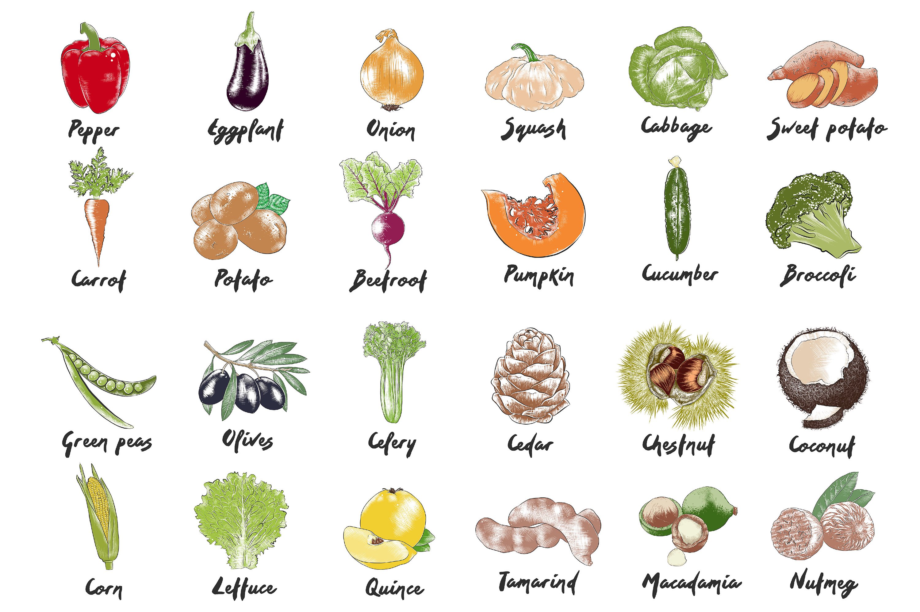 Bunch of different fruits and vegetables on a white background.