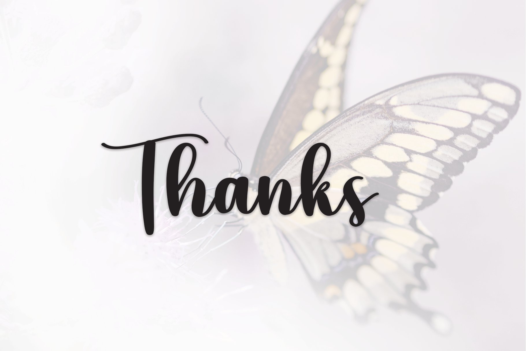 Beautiful Butterfly | Script Font preview image.