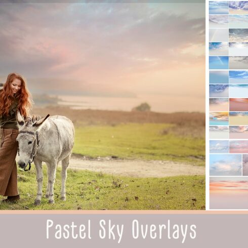 Pastel sky overlayscover image.