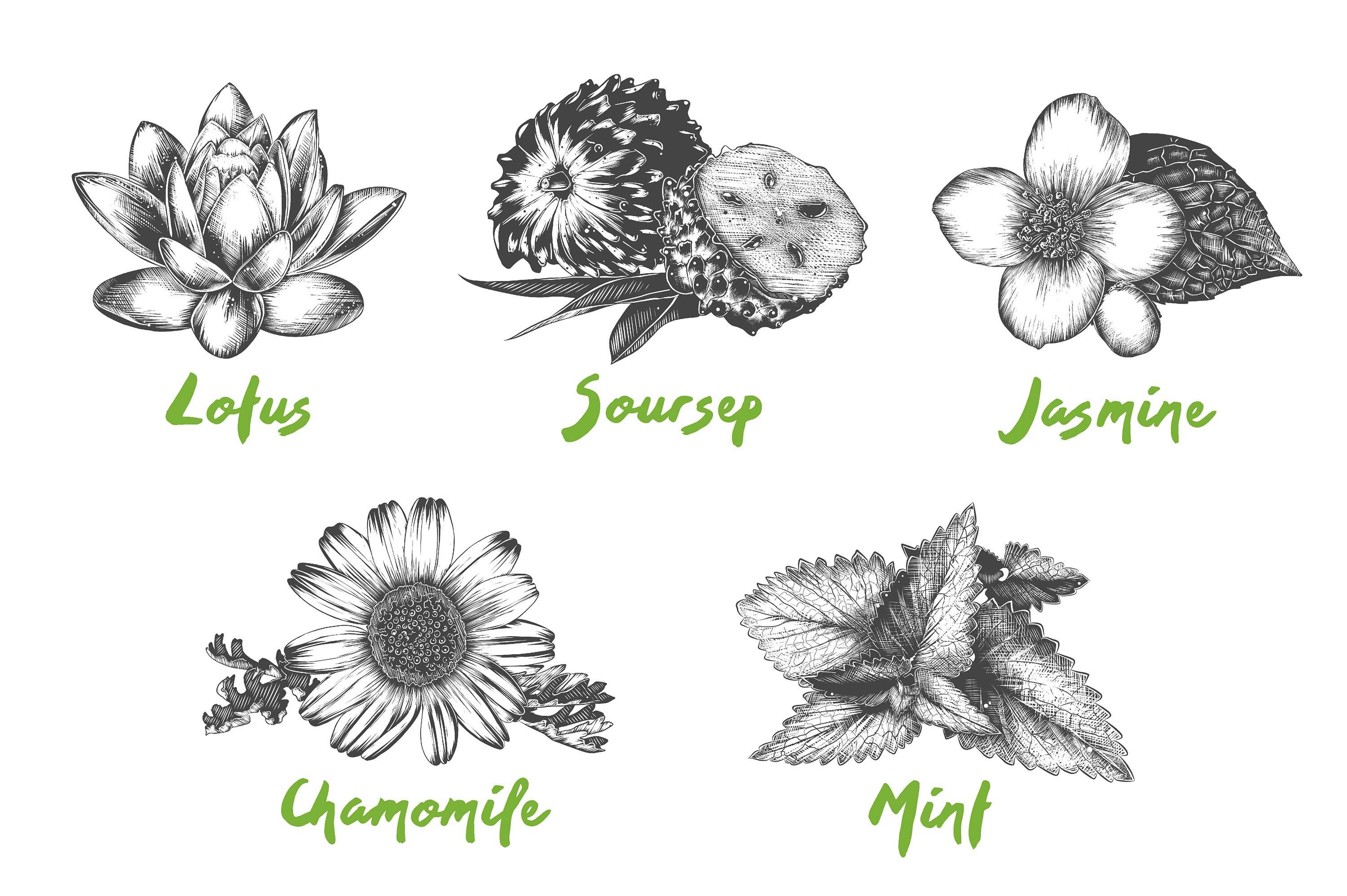 Bunch of flowers that are on a white background.