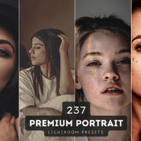 237 Portrait Lightroom Preset Bundlecover image.