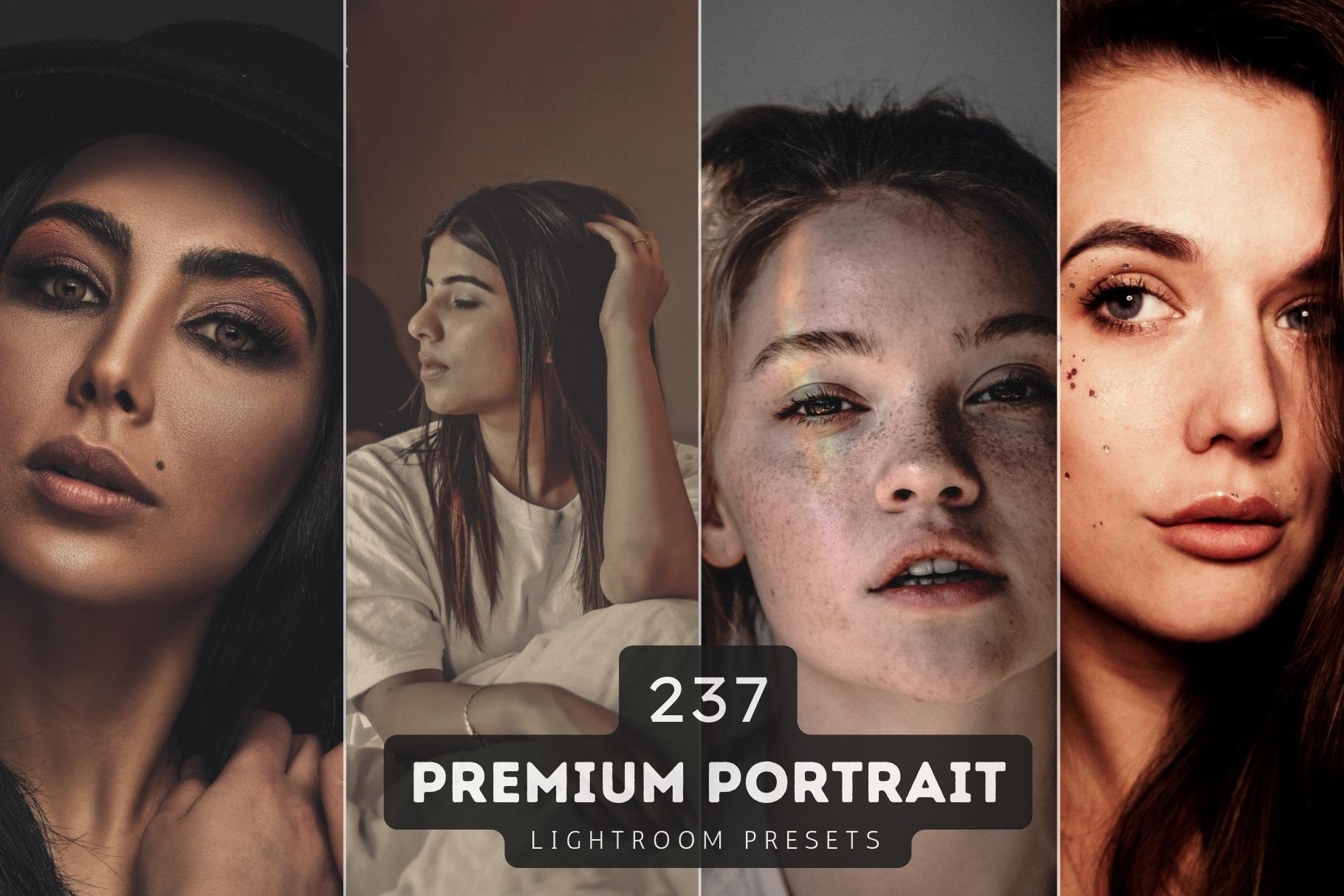 237 Portrait Lightroom Preset Bundlecover image.