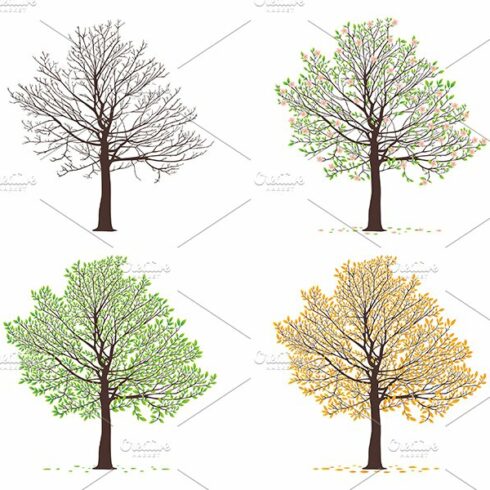 Four seasons trees cover image.