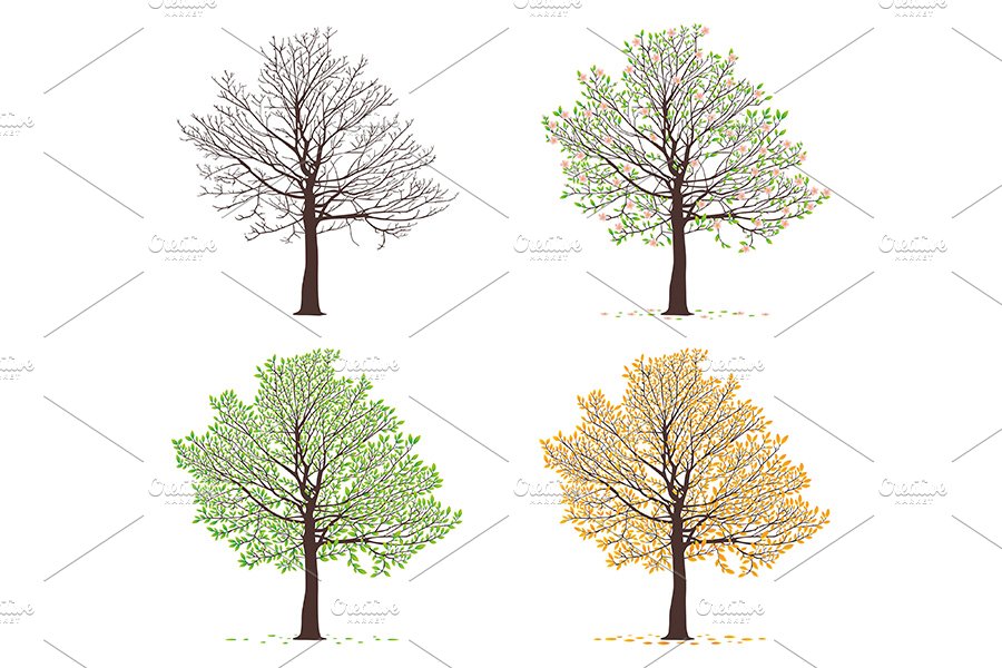Four seasons trees cover image.