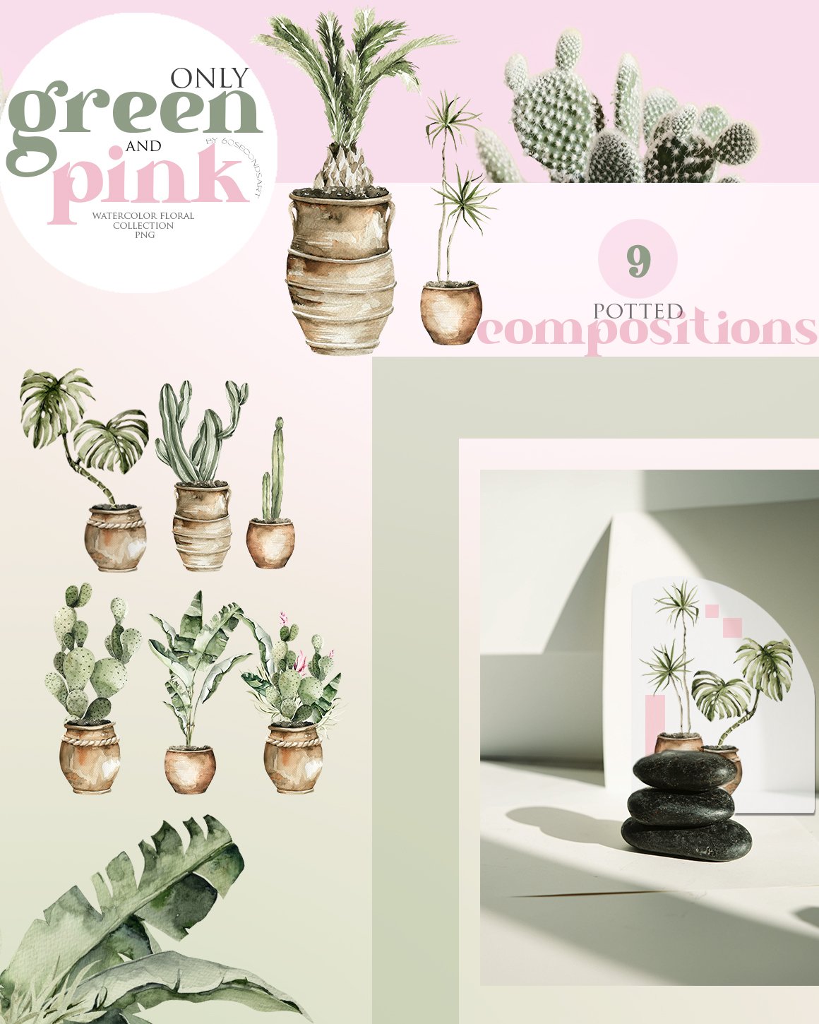 Pink and green wall with potted plants.