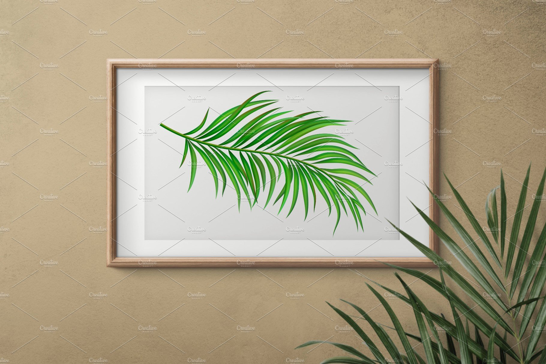Picture of a palm leaf hanging on a wall.
