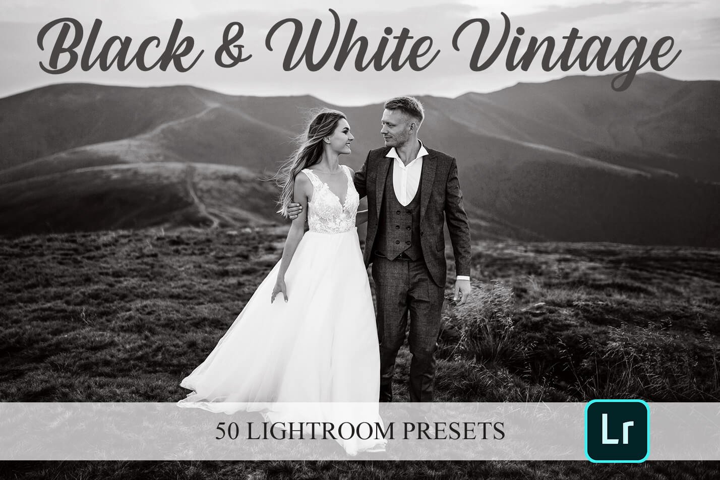 Lightroom Presets - B&W Vintagecover image.