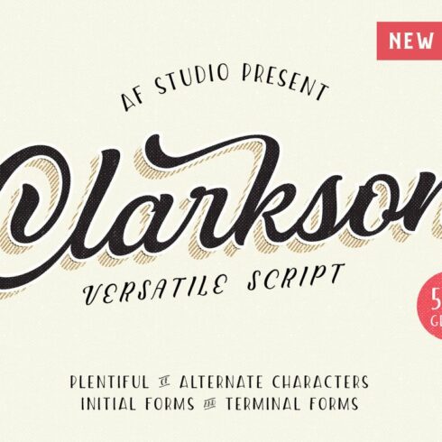 Clarkson Script cover image.
