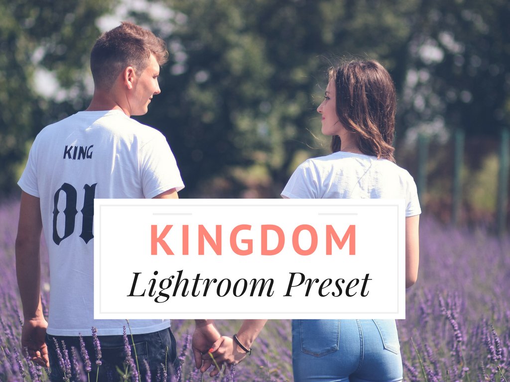 Kingdom Lightroom Presetcover image.