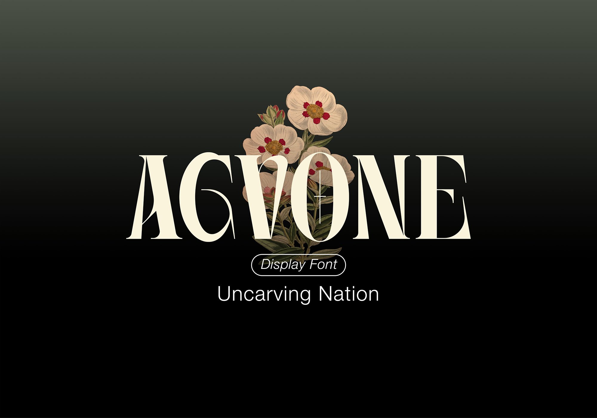 Agvone - Display Font cover image.