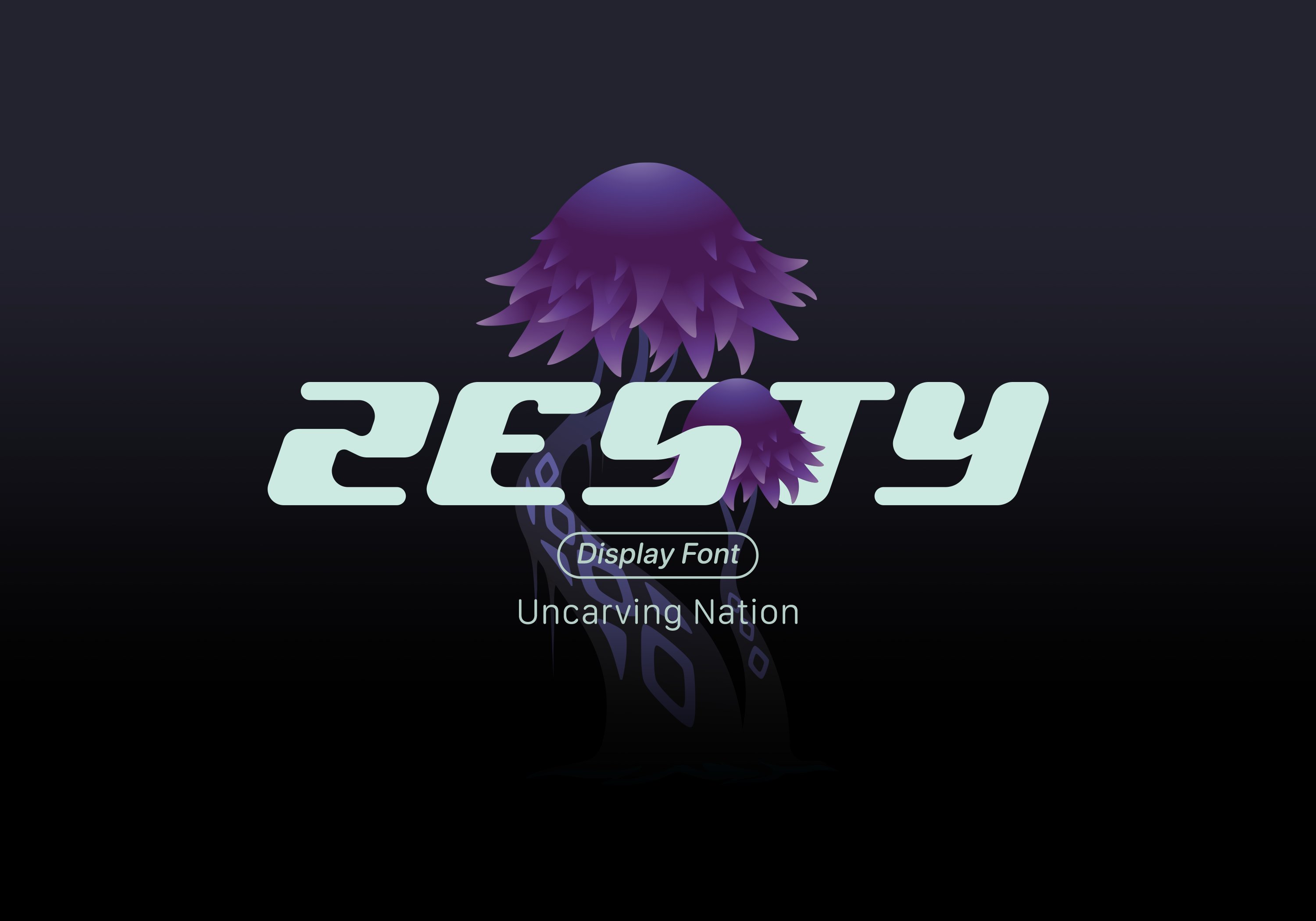 Zesty - Display font cover image.