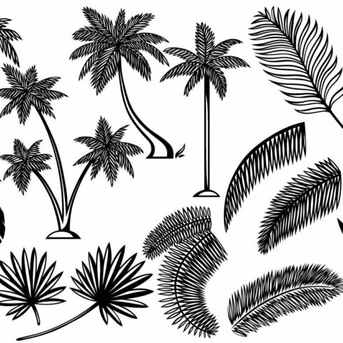 Tropical plants cover image.