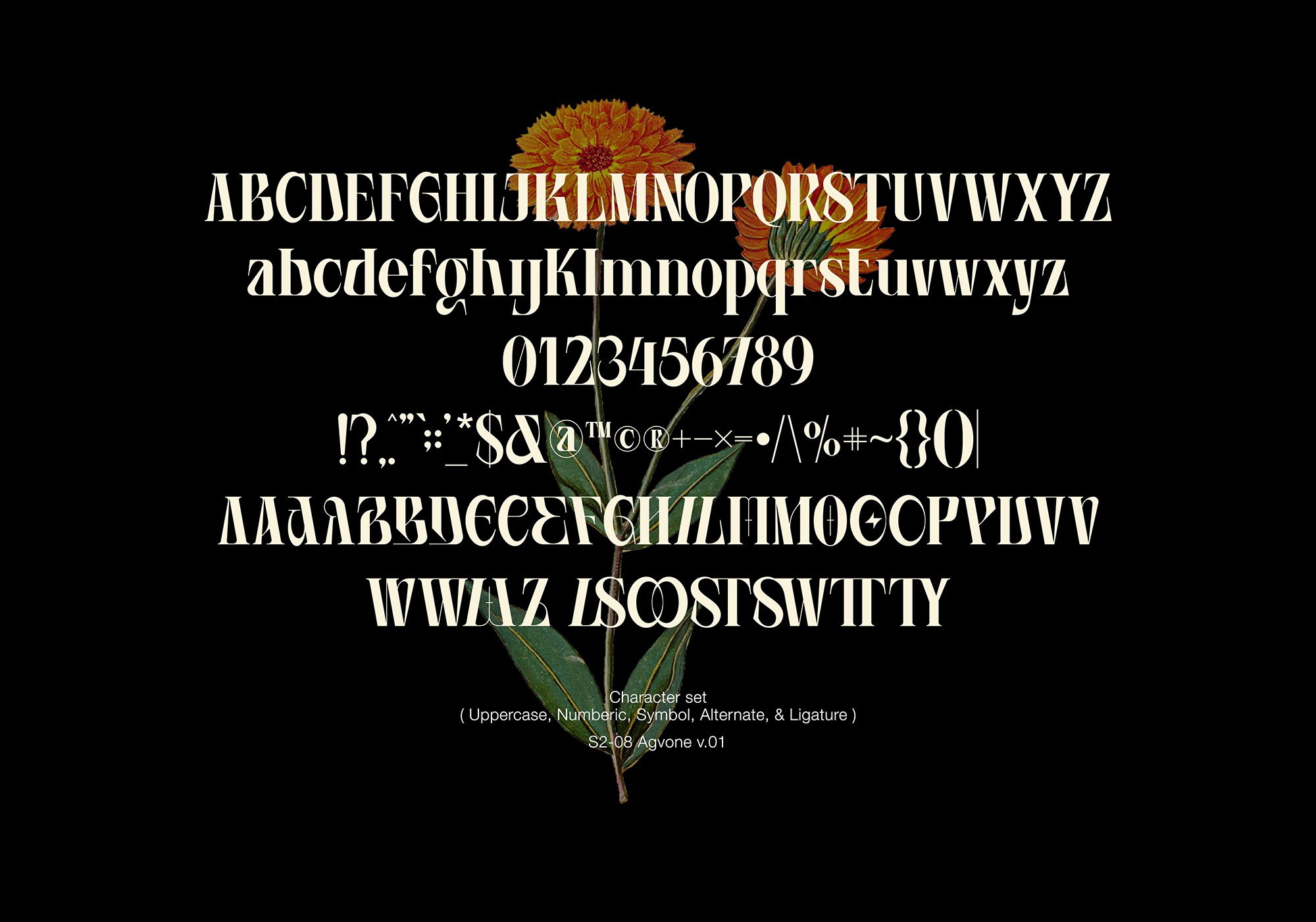 Agvone - Display Font preview image.