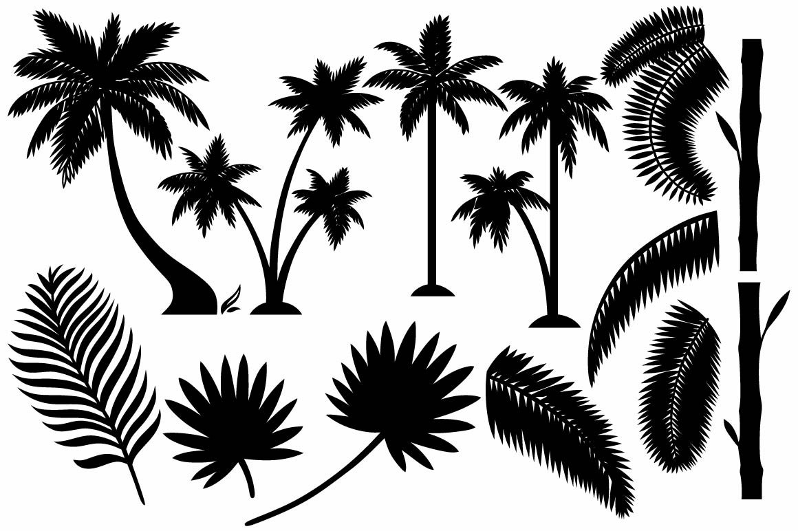 Set of palm trees silhouettes on a white background.